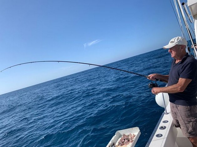 November Photo Archive 2019 Cavalier & Blue Marlin Sport Fishing Gran Canaria