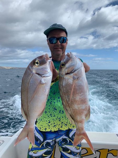 December Photo Archive 2019 Cavalier & Blue Marlin Sport Fishing Gran Canaria