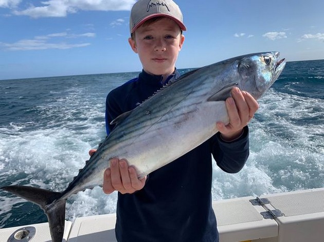 December Photo Archive 2019 Cavalier & Blue Marlin Sport Fishing Gran Canaria