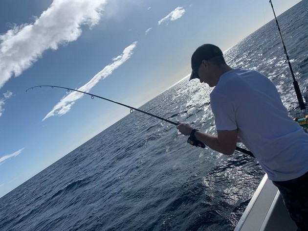 December Photo Archive 2019 Cavalier & Blue Marlin Sport Fishing Gran Canaria