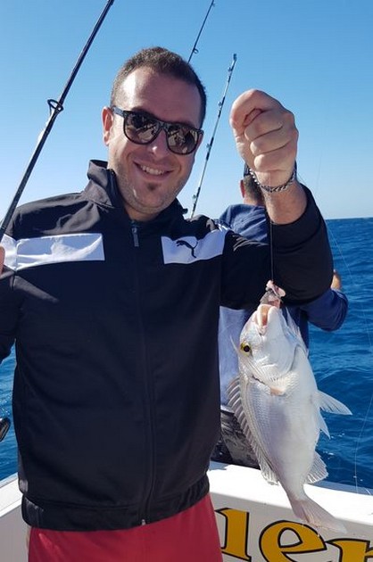 December Photo Archive 2019 Cavalier & Blue Marlin Sport Fishing Gran Canaria