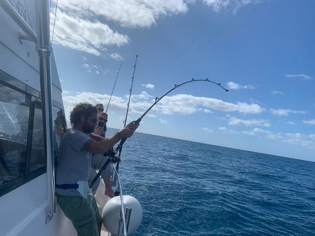 December Photo Archive 2019 Cavalier & Blue Marlin Sport Fishing Gran Canaria