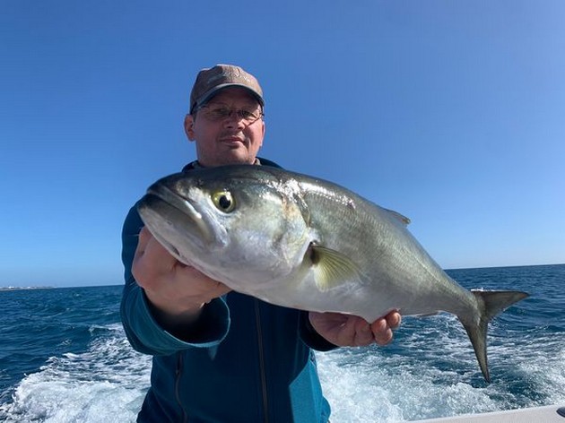 December Photo Archive 2019 Cavalier & Blue Marlin Sport Fishing Gran Canaria