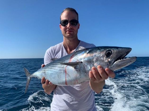 January Photo Archive 2020 Cavalier & Blue Marlin Sport Fishing Gran Canaria