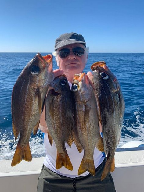 January Photo Archive 2020 Cavalier & Blue Marlin Sport Fishing Gran Canaria