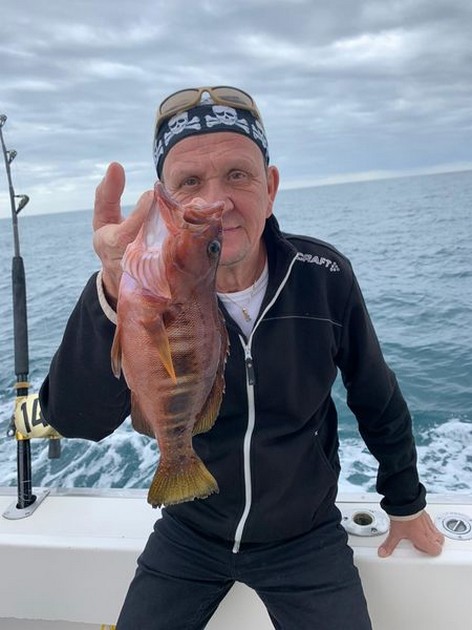 January Photo Archive 2020 Cavalier & Blue Marlin Sport Fishing Gran Canaria