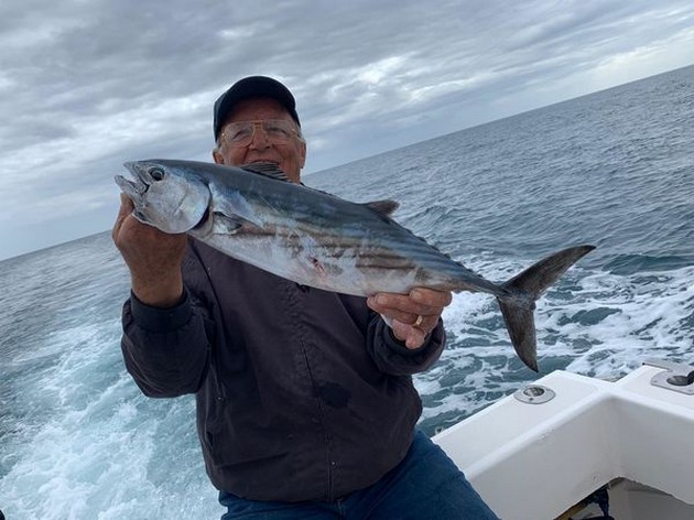 January Photo Archive 2020 Cavalier & Blue Marlin Sport Fishing Gran Canaria
