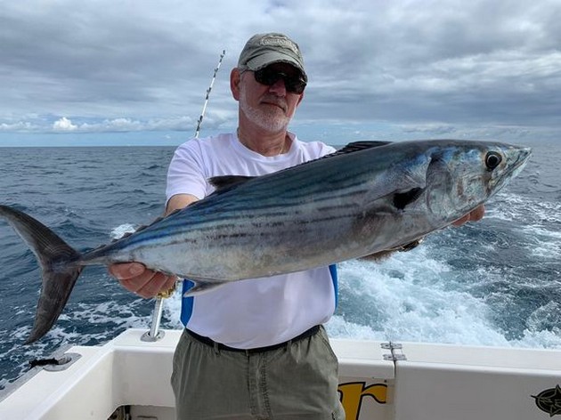 January Photo Archive 2020 Cavalier & Blue Marlin Sport Fishing Gran Canaria