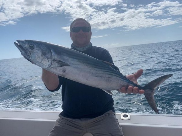 January Photo Archive 2020 Cavalier & Blue Marlin Sport Fishing Gran Canaria