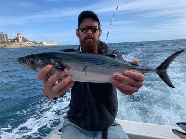 January Photo Archive 2020 Cavalier & Blue Marlin Sport Fishing Gran Canaria