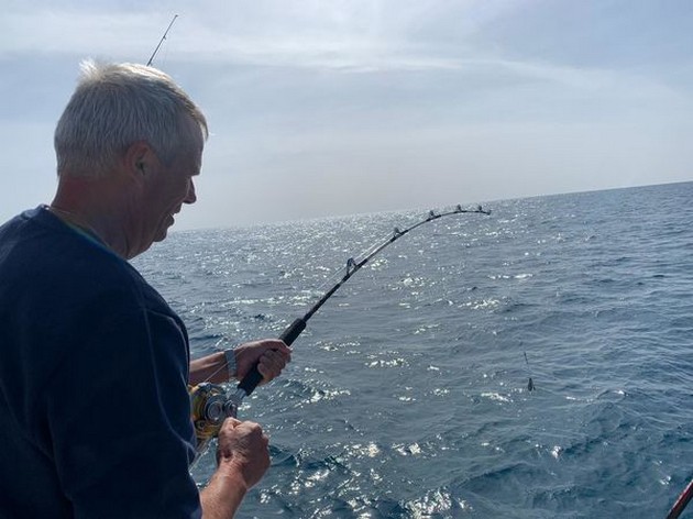 January Photo Archive 2020 Cavalier & Blue Marlin Sport Fishing Gran Canaria