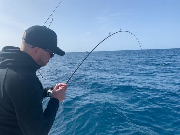 February Photo Archive 2020 Cavalier & Blue Marlin Sport Fishing Gran Canaria