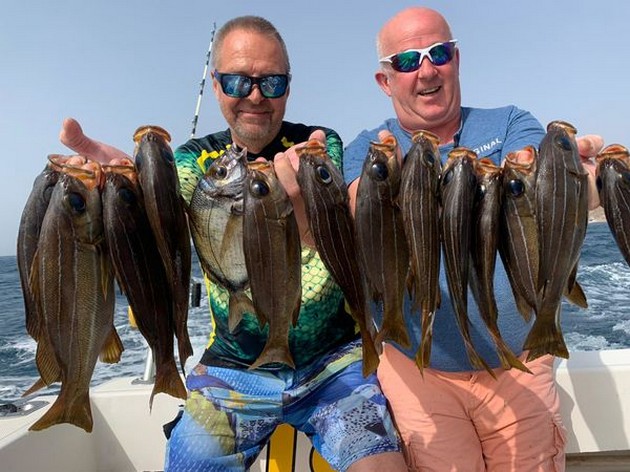 February Photo Archive 2020 Cavalier & Blue Marlin Sport Fishing Gran Canaria