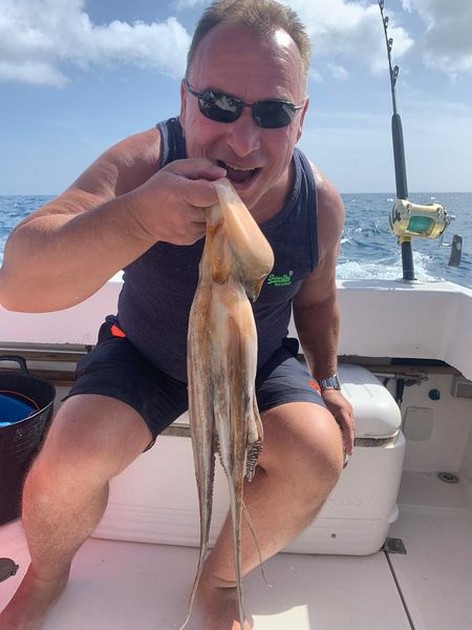 February Photo Archive 2020 Cavalier & Blue Marlin Sport Fishing Gran Canaria