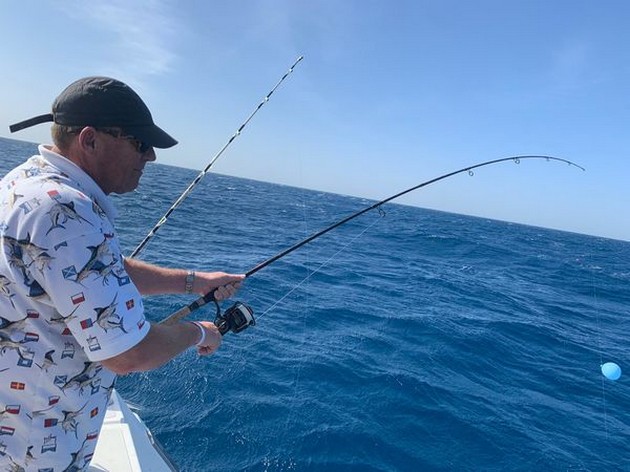  - Cavalier & Blue Marlin Sport Fishing Gran Canaria