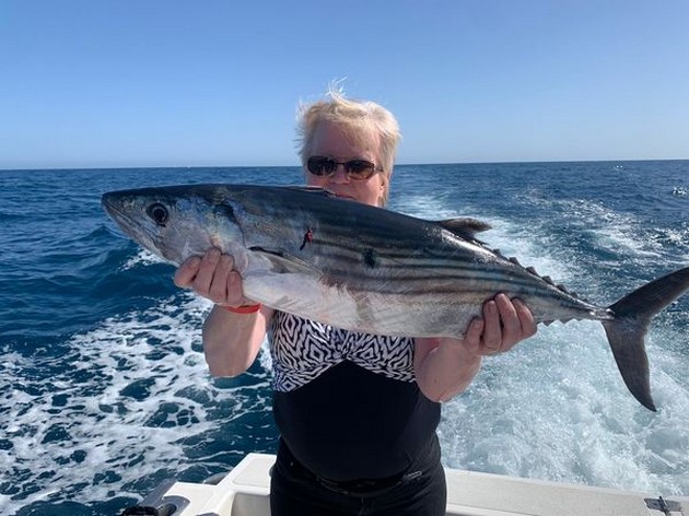 February Photo Archive 2020 Cavalier & Blue Marlin Sport Fishing Gran Canaria