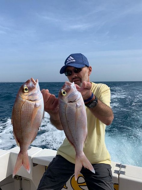 February Photo Archive 2020 Cavalier & Blue Marlin Sport Fishing Gran Canaria