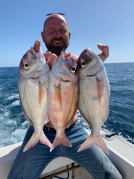 February Photo Archive 2020 Cavalier & Blue Marlin Sport Fishing Gran Canaria