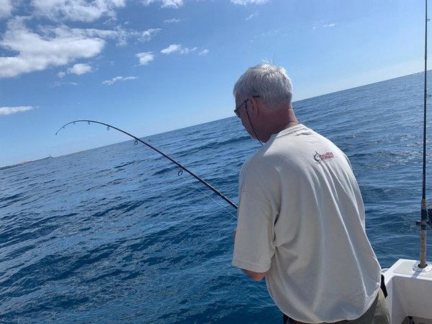 February Photo Archive 2020 Cavalier & Blue Marlin Sport Fishing Gran Canaria