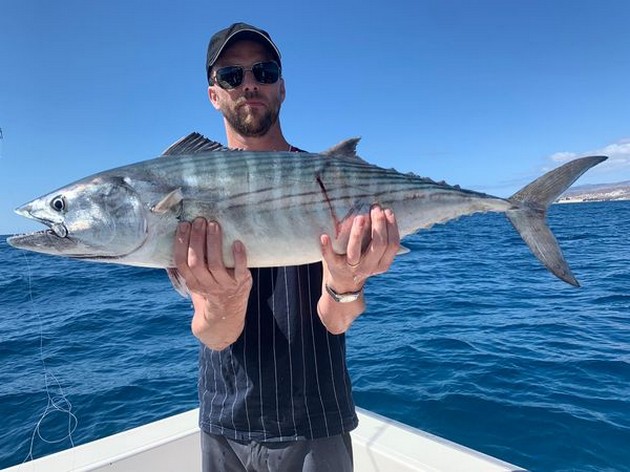 February Photo Archive 2020 Cavalier & Blue Marlin Sport Fishing Gran Canaria