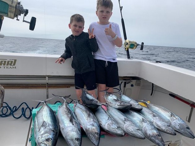 February Photo Archive 2020 Cavalier & Blue Marlin Sport Fishing Gran Canaria