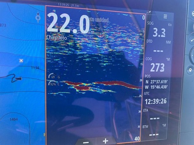  - Cavalier & Blue Marlin Sport Fishing Gran Canaria