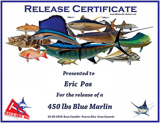 Catch or Release certificate Cavalier & Blue Marlin Sport Fishing Gran Canaria