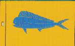 Dodado / Delphinfisch - Cavalier & Blue Marlin Sportfischen Gran Canaria