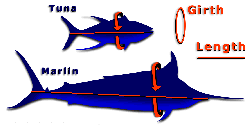 Calculadora de peso de peces - Cavalier & Blue Marlin Sport Fishing Gran Canaria