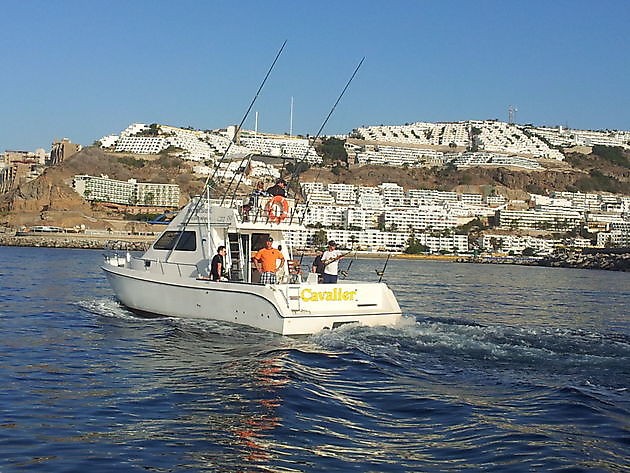  - Cavalier & Blue Marlin Sport Fishing Gran Canaria
