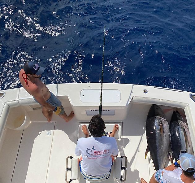  - Cavalier & Blue Marlin Sport Fishing Gran Canaria