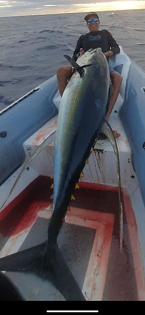 Gul fen från en Zodiac Cavalier & Blue Marlin Sport Fishing Gran Canaria
