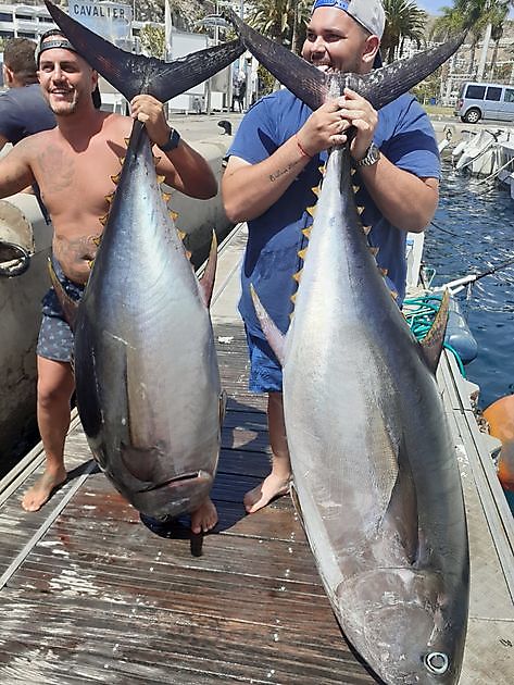 Blue Marlin & Big Eye Tuna Cavalier & Blue Marlin Sport Fishing Gran Canaria
