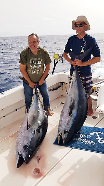 Cavalier caught 3 Big Eye Tuna Cavalier & Blue Marlin Sport Fishing Gran Canaria