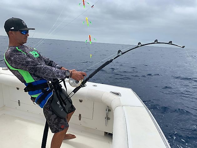  - Cavalier & Blue Marlin Sport Fishing Gran Canaria