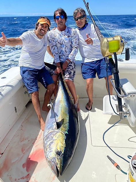 Spanje opent de grenzen vanaf 21 juni Cavalier & Blue Marlin Sport Fishing Gran Canaria