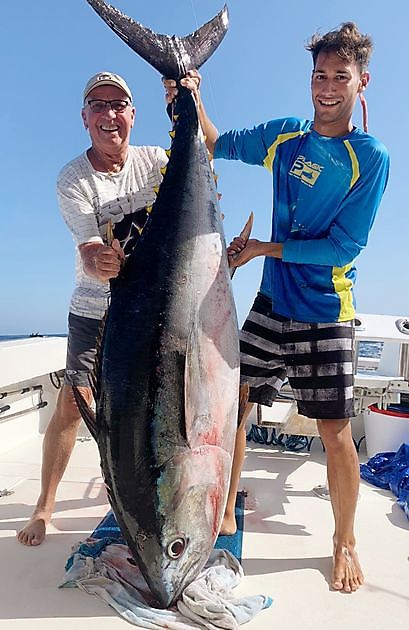 250lb de atún patudo - Cavalier & Blue Marlin Sport Fishing Gran Canaria