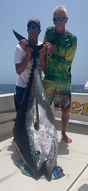 ¡Otro gran atún patudo! - Cavalier & Blue Marlin Sport Fishing Gran Canaria