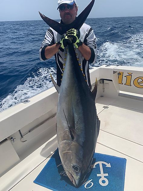 Another successful day Cavalier & Blue Marlin Sport Fishing Gran Canaria