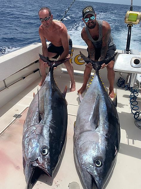 2 atún patudo - Cavalier & Blue Marlin Sport Fishing Gran Canaria