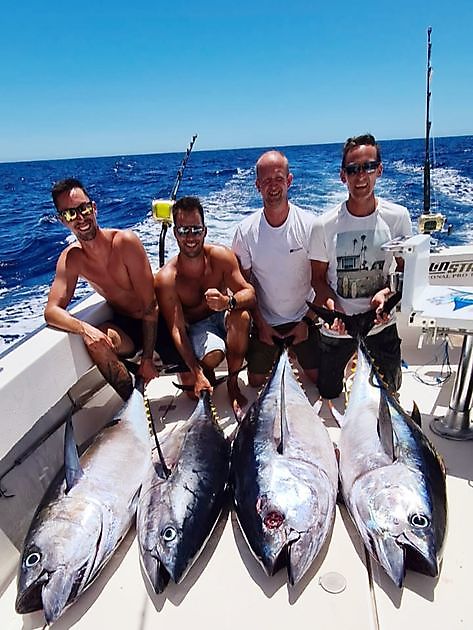 Tonijnen explosie - Cavalier & Blue Marlin Sport Fishing Gran Canaria