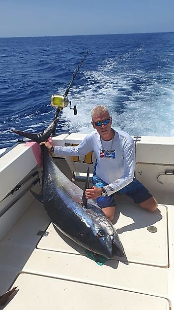 0/1 Blue Marlin 2/2 Big Eyes Tuna Cavalier & Blue Marlin Sport Fishing Gran Canaria