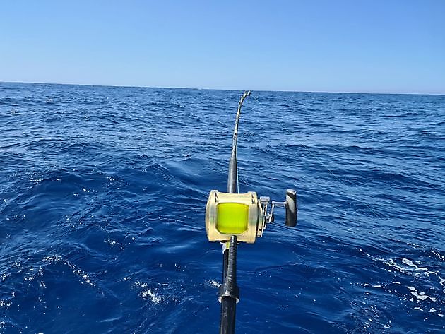  - Cavalier & Blue Marlin Sport Fishing Gran Canaria