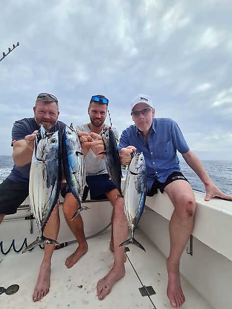 Atún barrilete - Pesca Deportiva Cavalier & Blue Marlin Gran Canaria