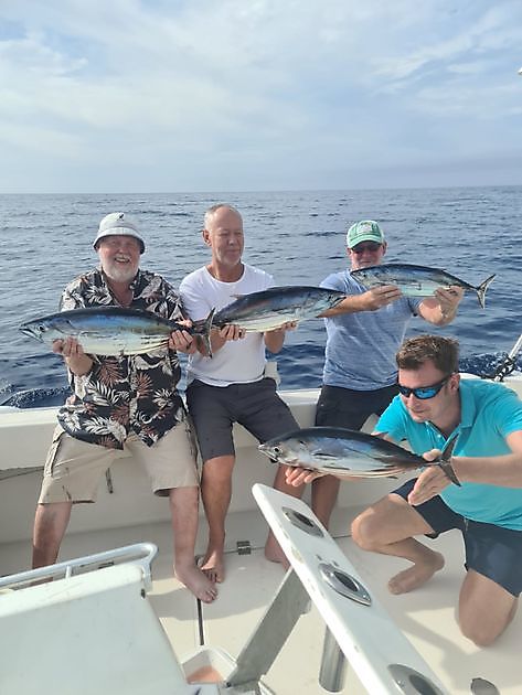 Bien hecho - Pesca Deportiva Cavalier & Blue Marlin Gran Canaria