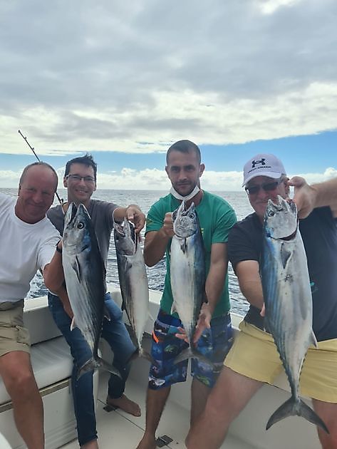 Atlantic Bonito / Seabreams - Cavalier & Blue Marlin Sport Fishing Gran Canaria