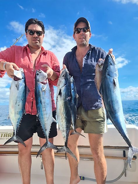 Pêche à la traîne et de fond - Cavalier & Blue Marlin Sport Fishing Gran Canaria