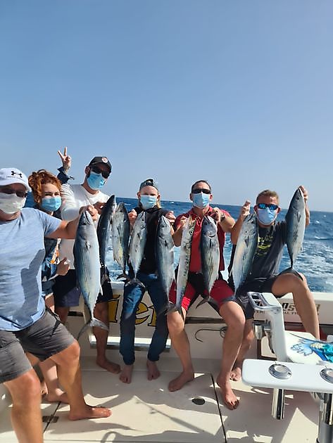 Grands captures - Cavalier & Blue Marlin Sport Fishing Gran Canaria