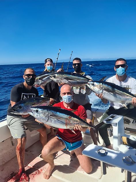 5 thons obèses - Cavalier & Blue Marlin Sport Fishing Gran Canaria