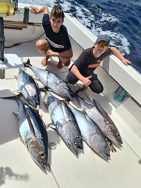 4 Albacores - 4 Thon aux gros yeux - Cavalier & Blue Marlin Sport Fishing Gran Canaria